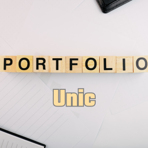 Portofoliu Unic